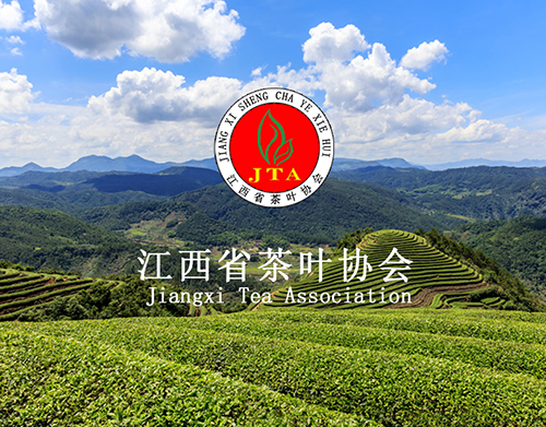 靖安县部署2014年春茶采茶准备工作